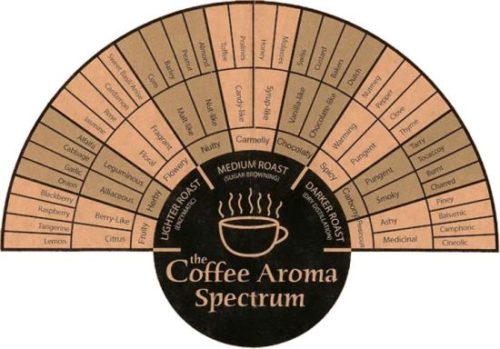 Coffee Flavor Spectrum