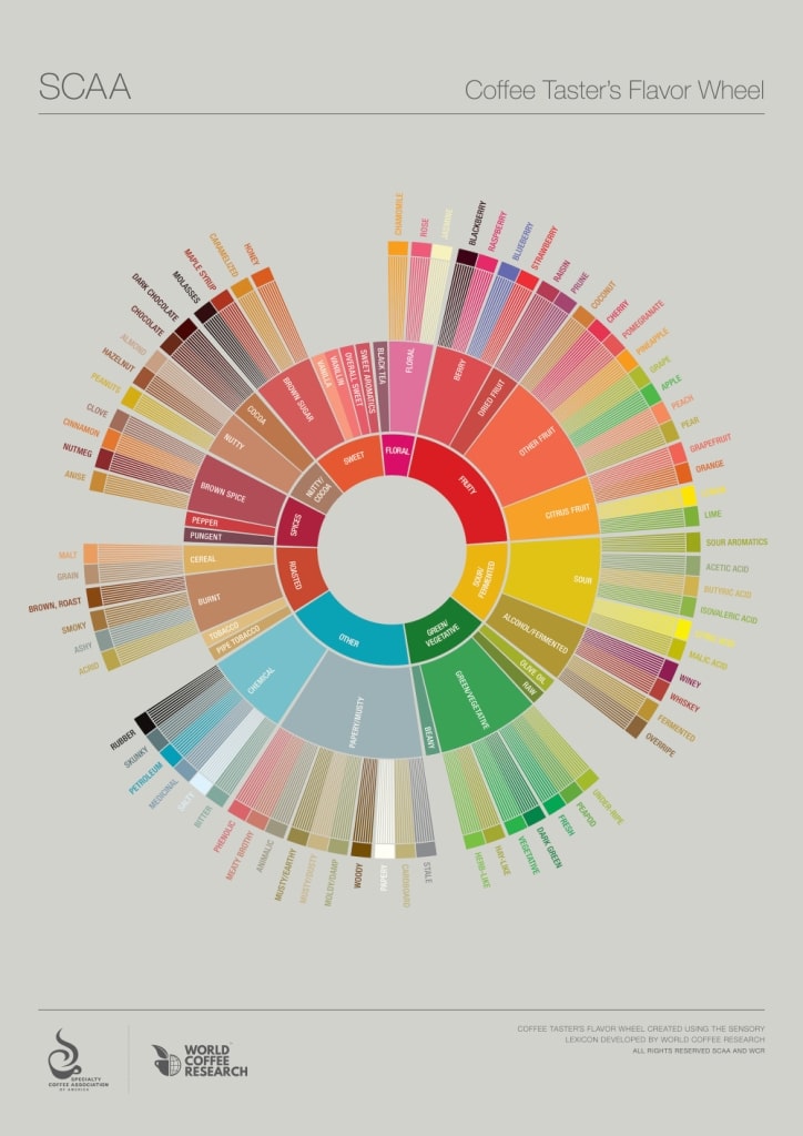 SCAA Flavor Wheel for Coffee Cupping
