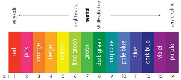 pH Scale