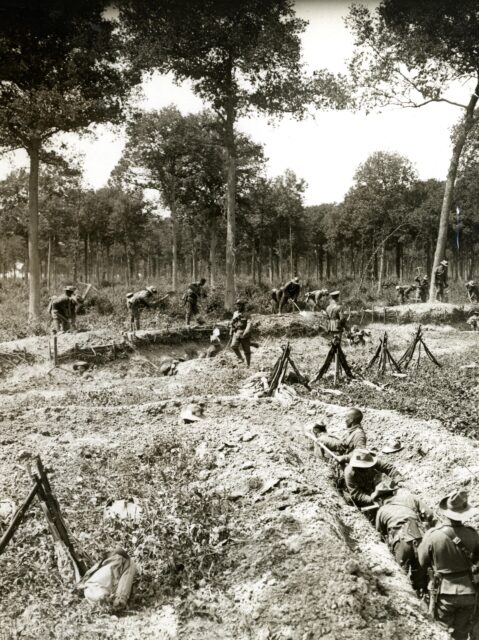 World War II Trenches