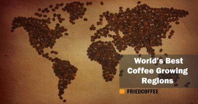 Best Coffee Growing Regions In The World