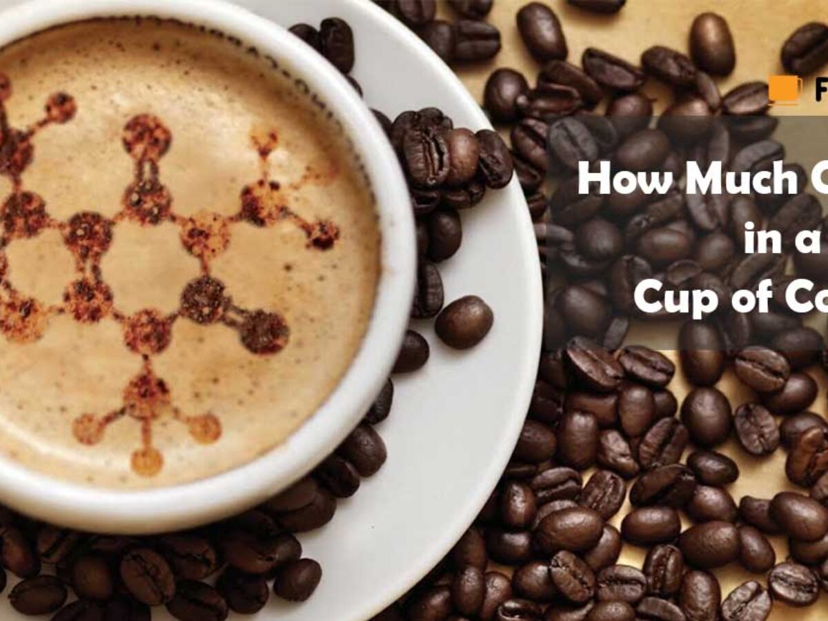 How Much Caffeine In Coffee What Content Is Acceptable Comparison Chart How Much Caffeine In Coffee What Content Is Acceptable Comparison Chart