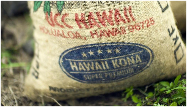 Growing Kona Coffee Beans