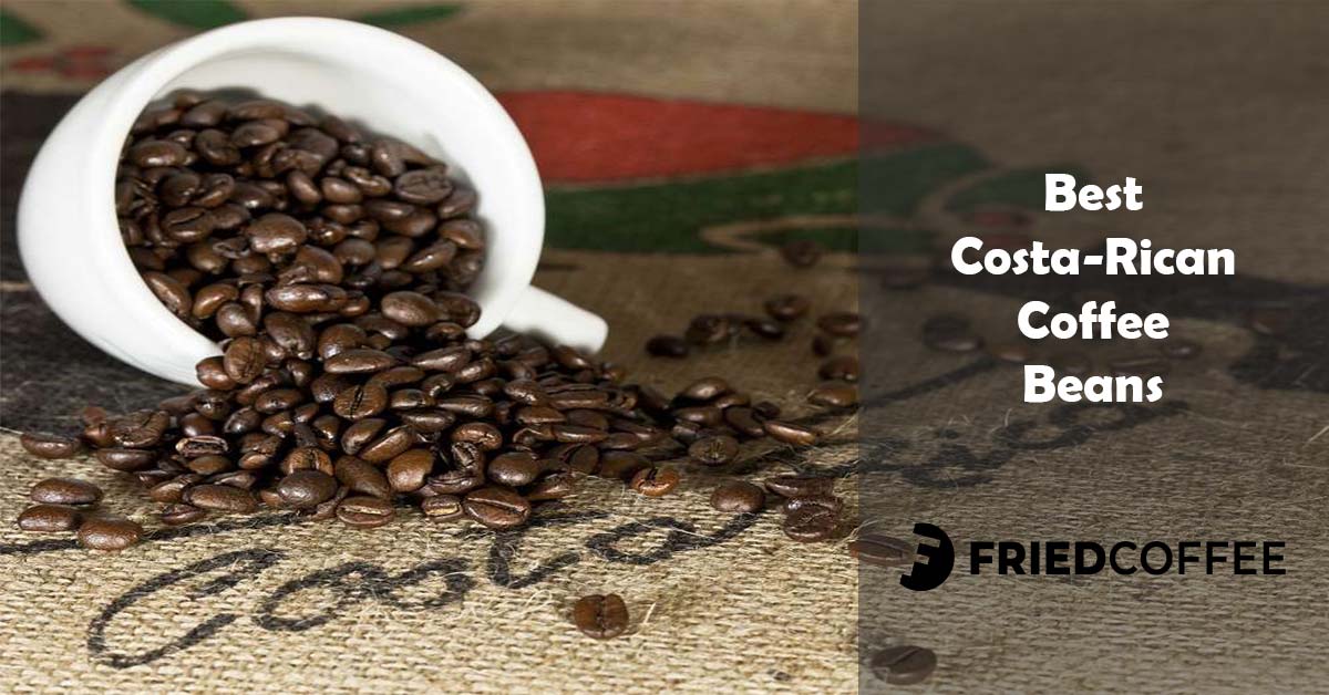 Best Costa Rican Coffee Beans (Guide + Facts) FriedCoffee