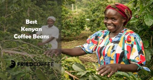 Best Kenyan Coffee Beans