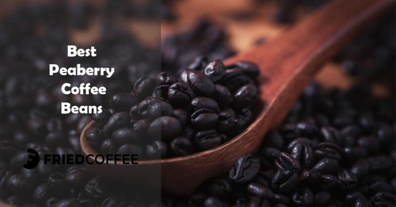 Best Peaberry Coffee brands