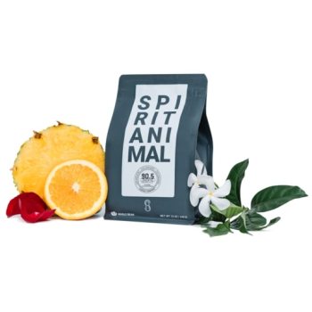 Spirit Animal Coffee Catuai and Bourbon